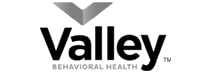 valley behaviora UT